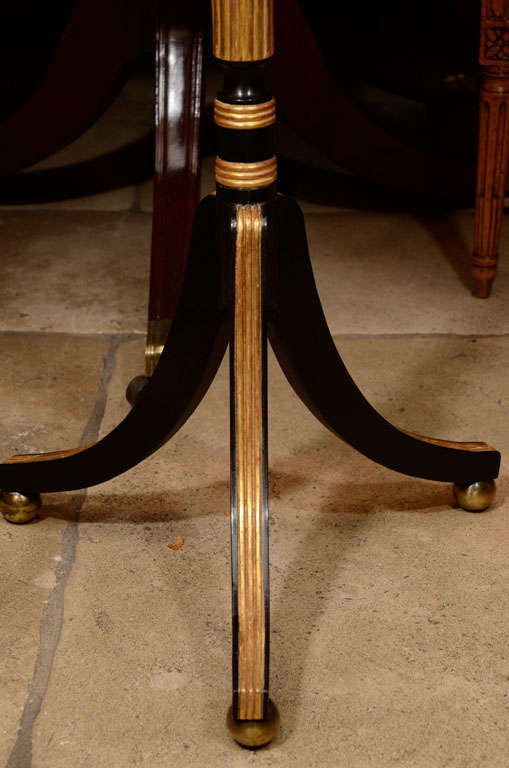 Regency Burled Yewwood Candlestand