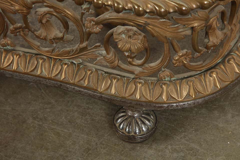 Rococo Bronze Fireplace Fender
