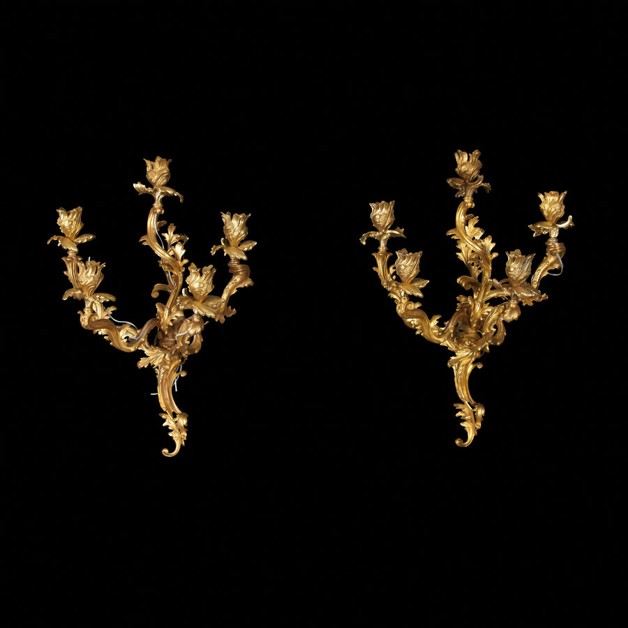 Pair of Louis XV Gilt Bronze Five Arm Sconces